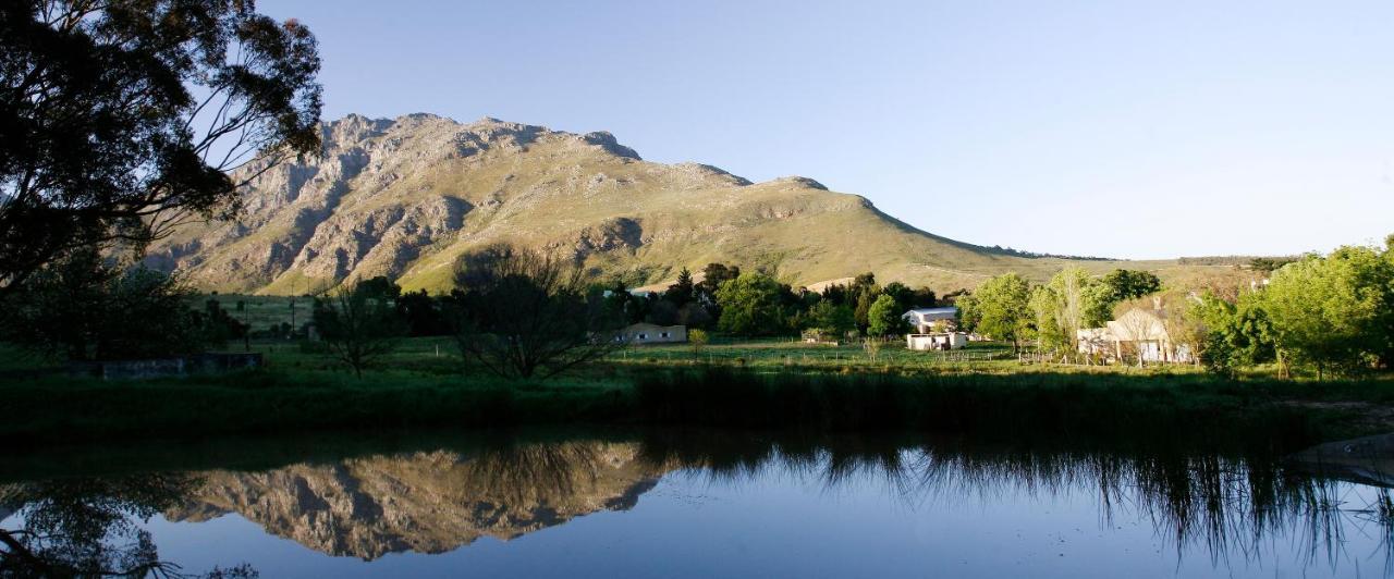 Rozendal Stay Stellenbosch Eksteriør bilde
